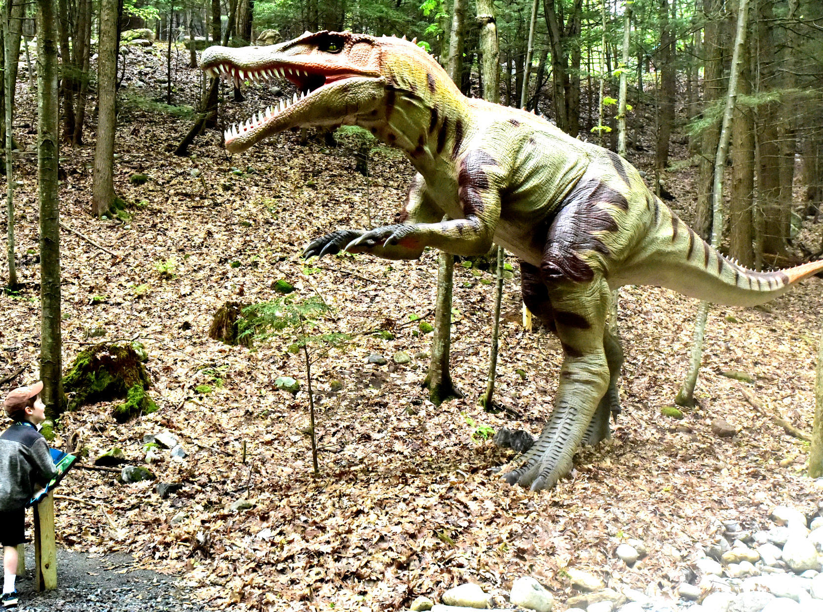 Enjoying dinosaurs
